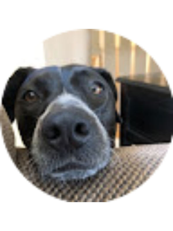 Photo of Mitchell Speers (Student)