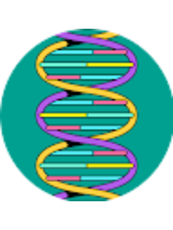 Photo of Lesley Gough