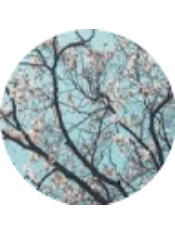 Photo of Natalie Nunez