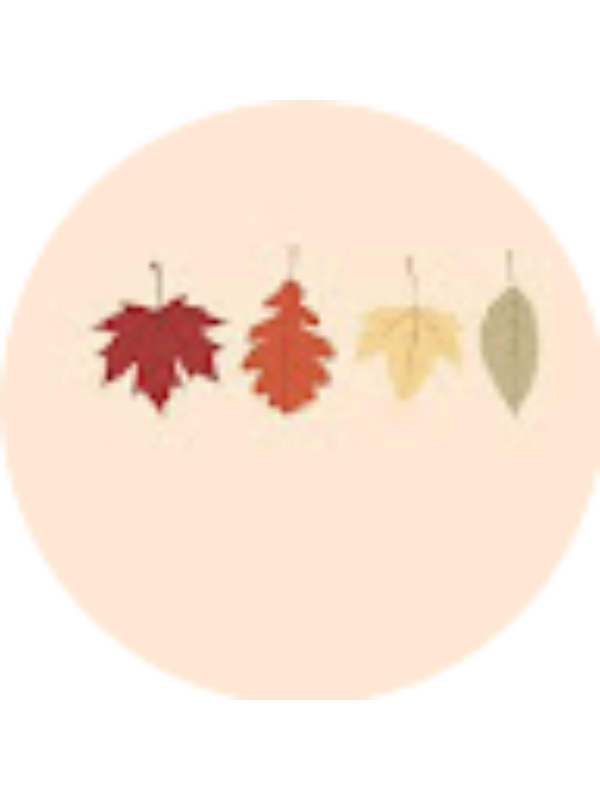 Photo of Alejandra S&aacute;nchez Torres