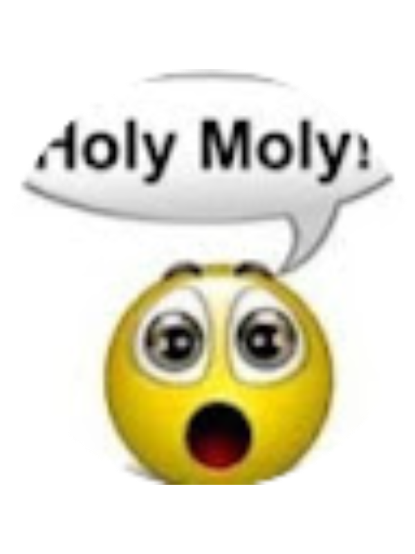 Photo of Taylor Panicko