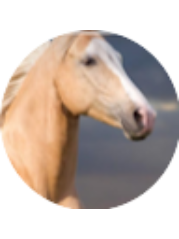 Photo of Taylor Swenson