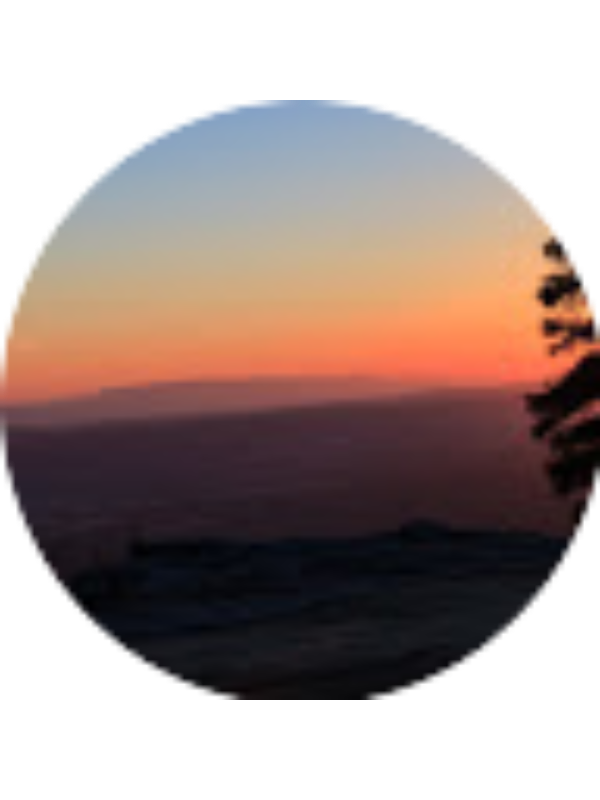 Photo of Petra Vozila