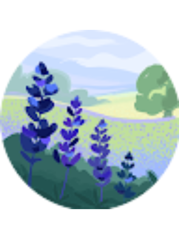 Photo of Ipeksu Yılmaz