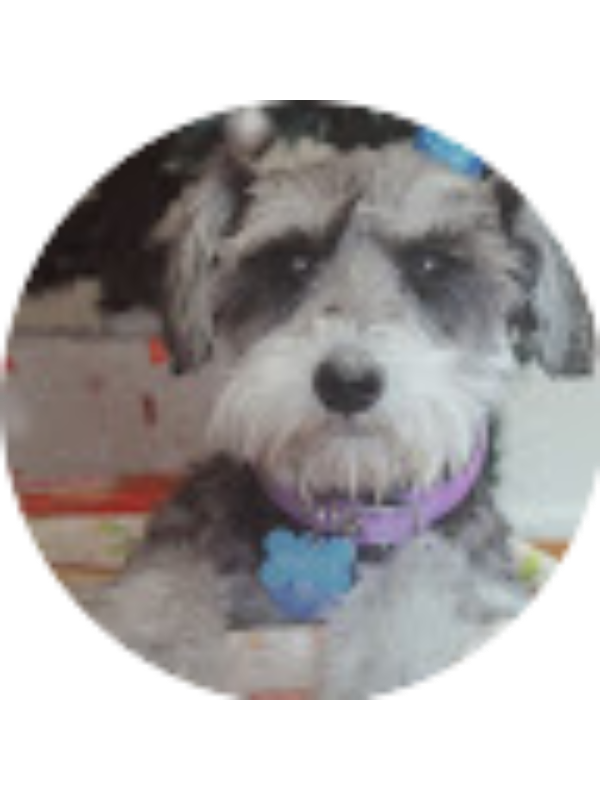 Photo of Sam Hickman