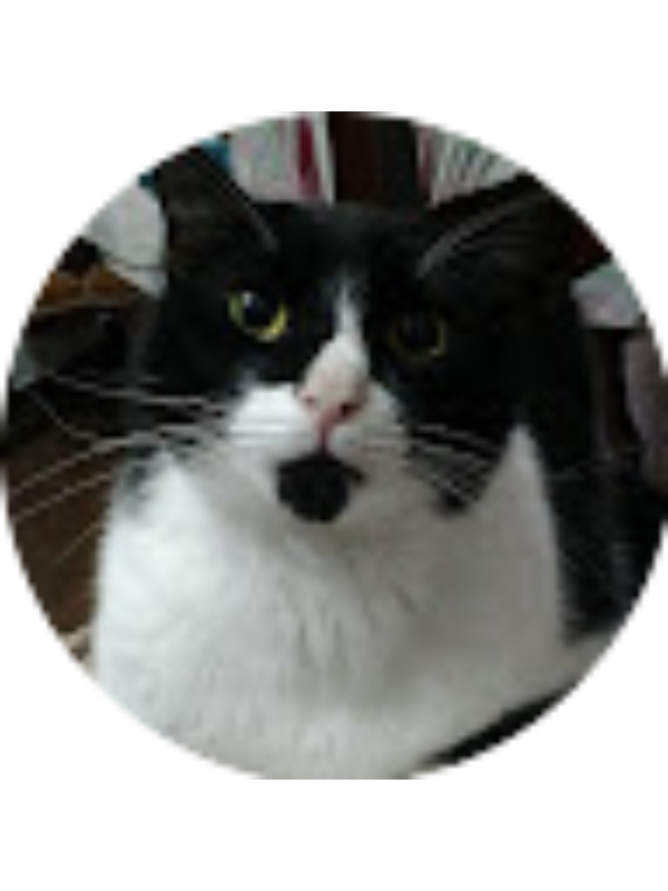 Photo of Niki Rodriguez