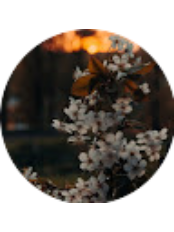 Photo of Vaduva Emanuela