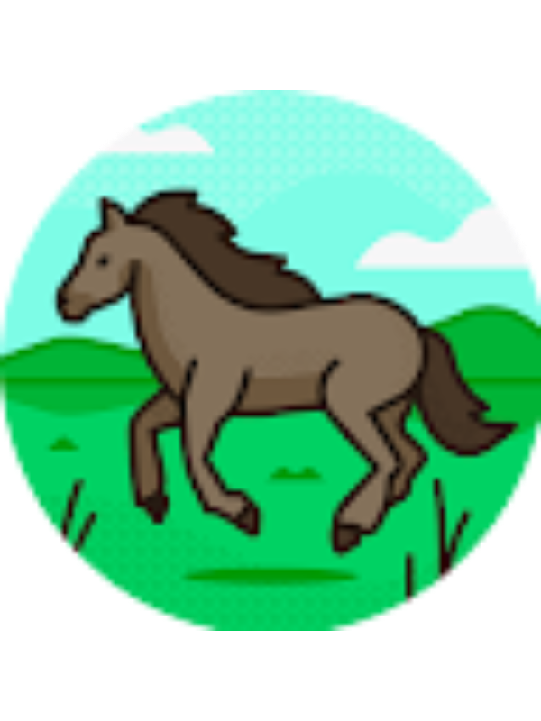 Photo of DELPHINE POULIQUEN