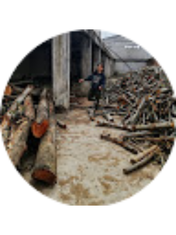 Photo of K&uuml;bra Doğan