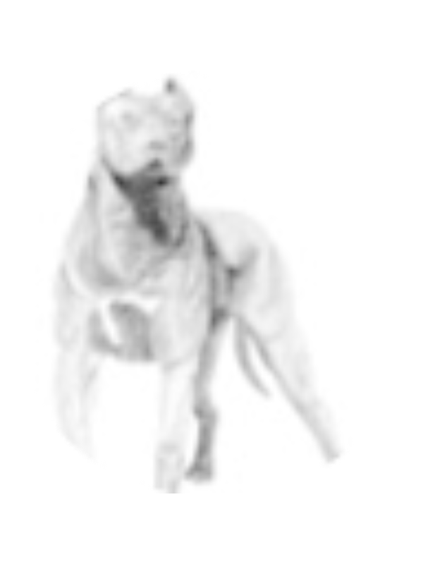 Photo of Jace Aneweer