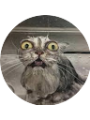 Picture of Ava Rellinger