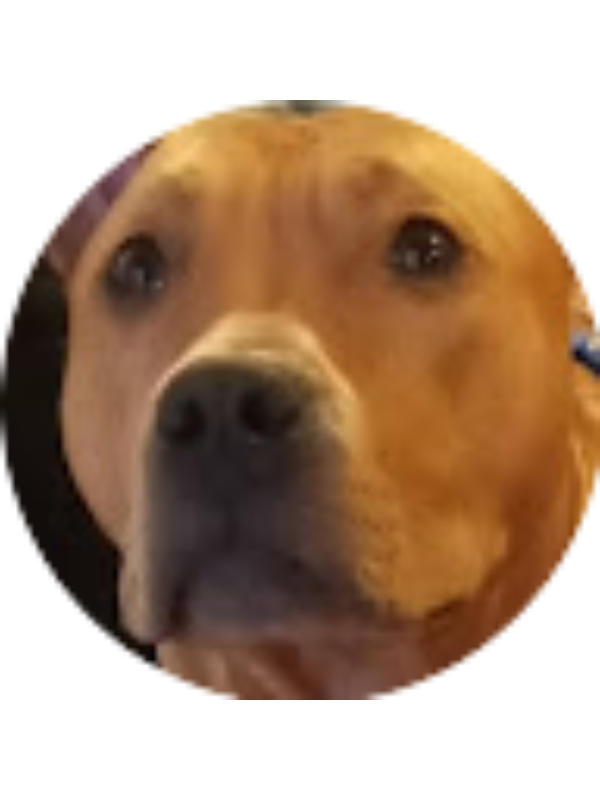 Photo of Zionna Stephens