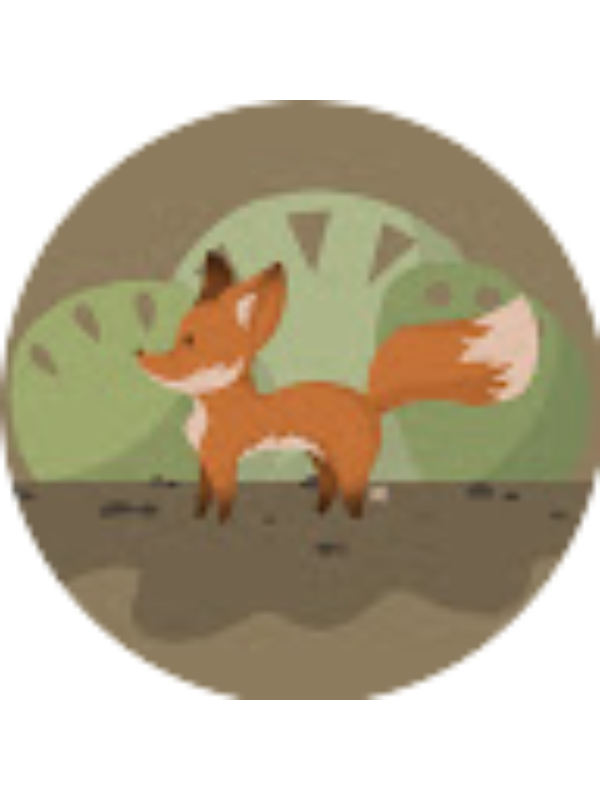 Photo of лесной дневник