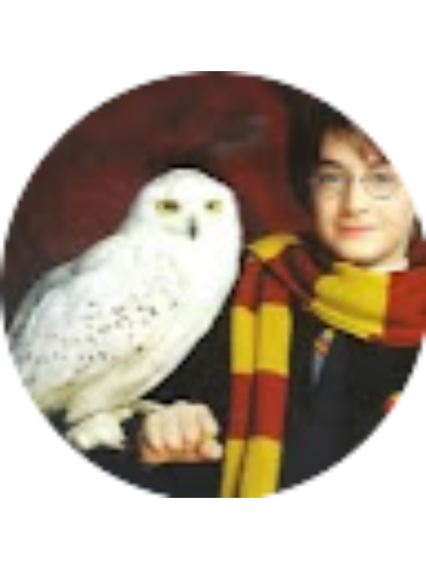 Photo of Alejandro L&eacute;ranoz Fern&aacute;ndez