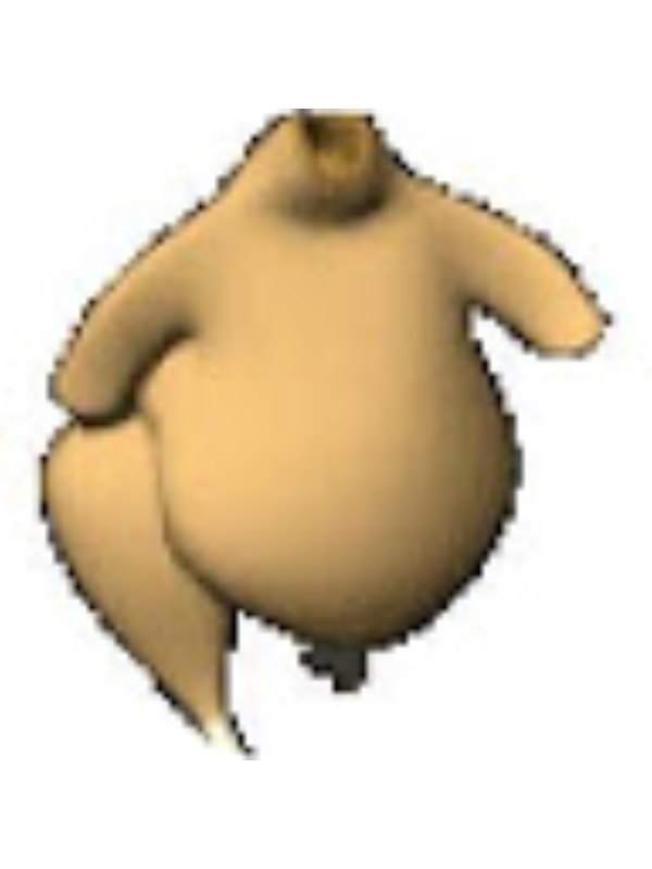 Photo of Marcos Pedraza