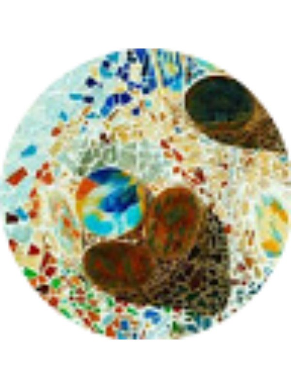 Photo of Alessandra Di lorenzo