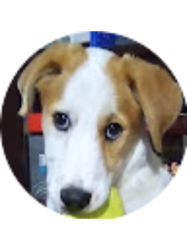 Photo of DANA ANTONELLA CRUZ CASTILLO