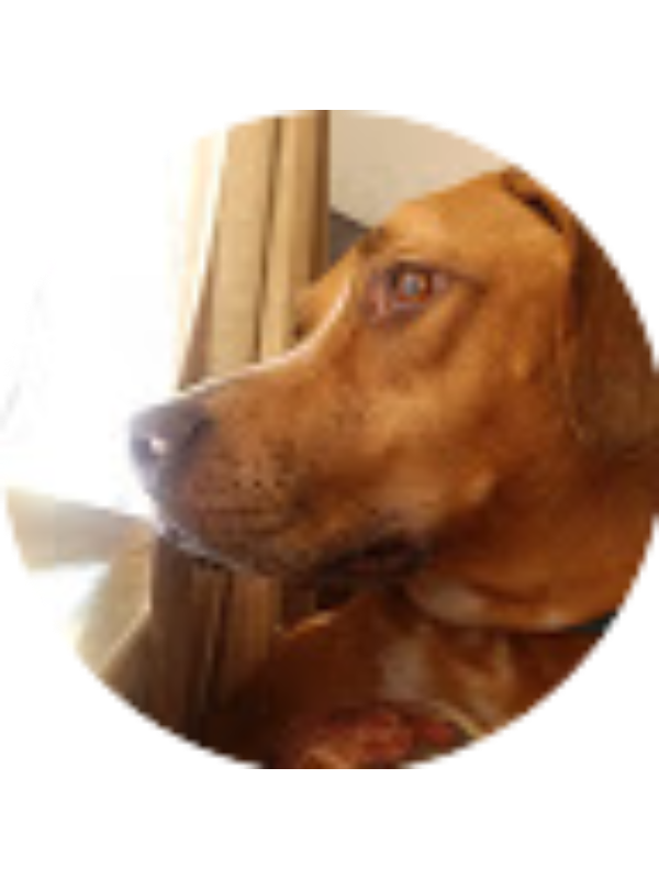 Photo of Ashley Neubert