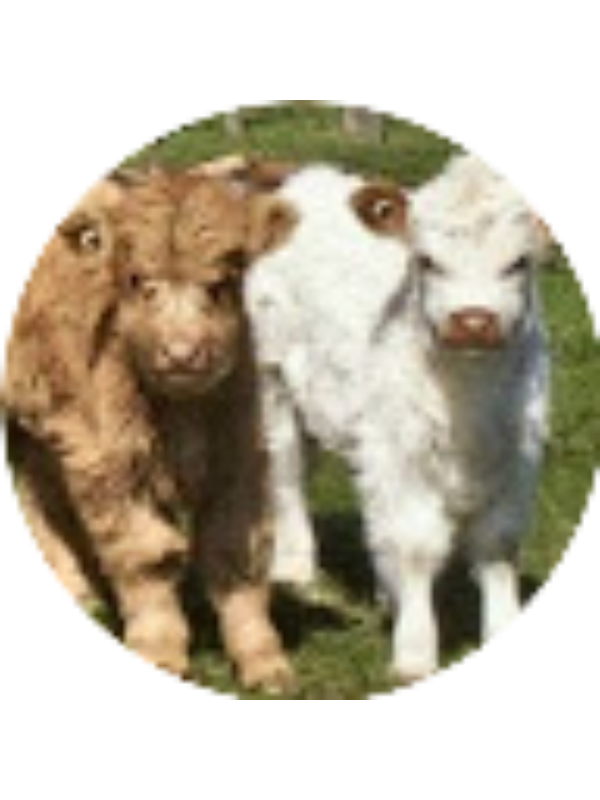 Photo of Cordelia Bryant