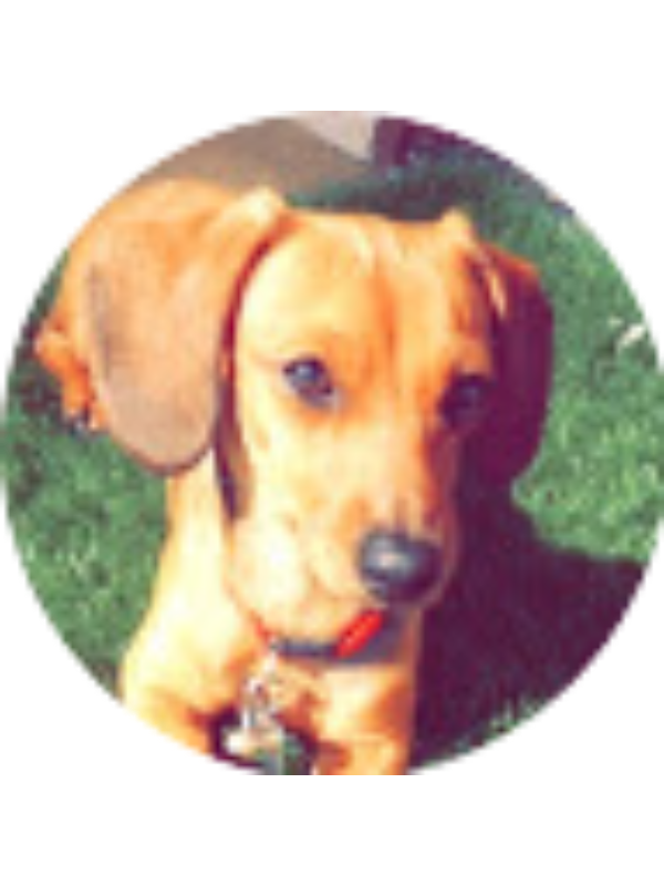 Photo of KATHRINE MITCHELL