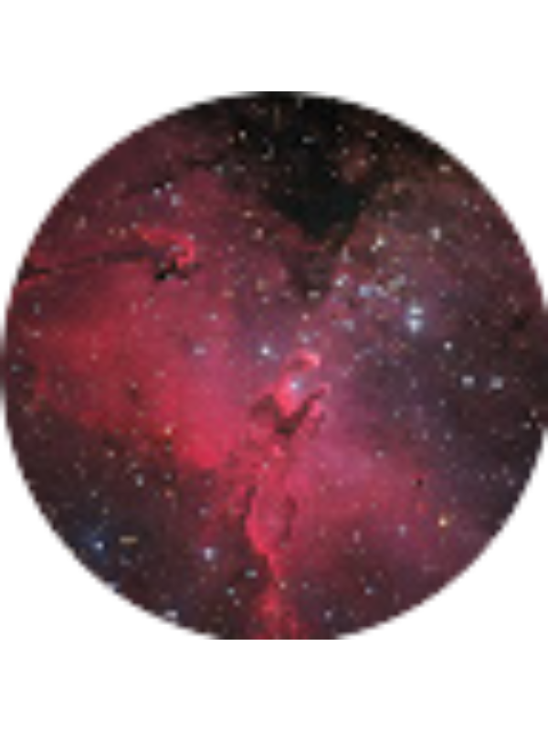 Photo of CAROLINE BUTKOVICH