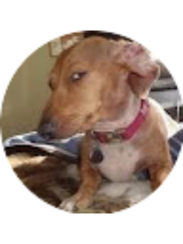 Photo of Christy Xiong