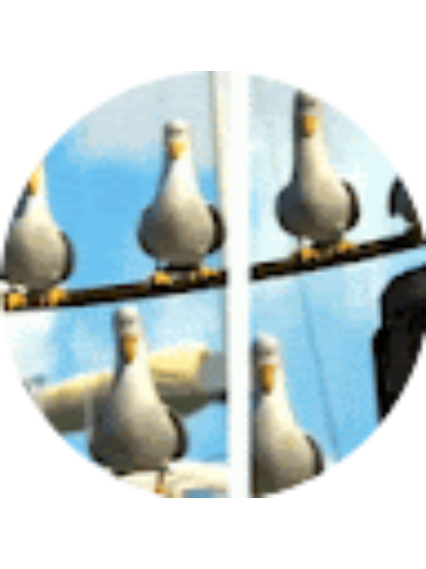 Photo of Namanpreet Kandola