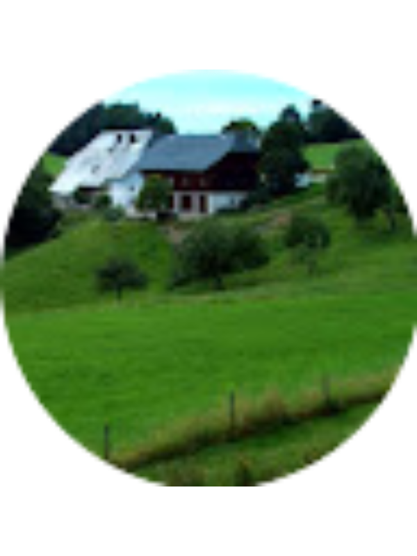 Photo of Latha Lakshmi