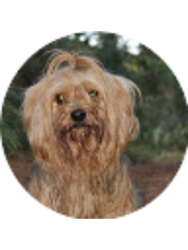 Photo of JUAN DAVID Mena