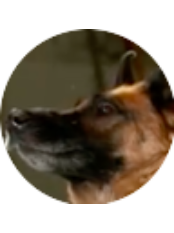 Photo of Anika Robinson