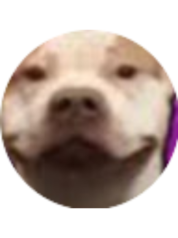 Photo of Kaleb Olafsen