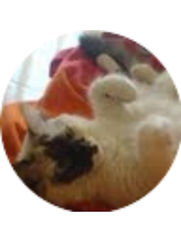 Photo of Alexandra Beni