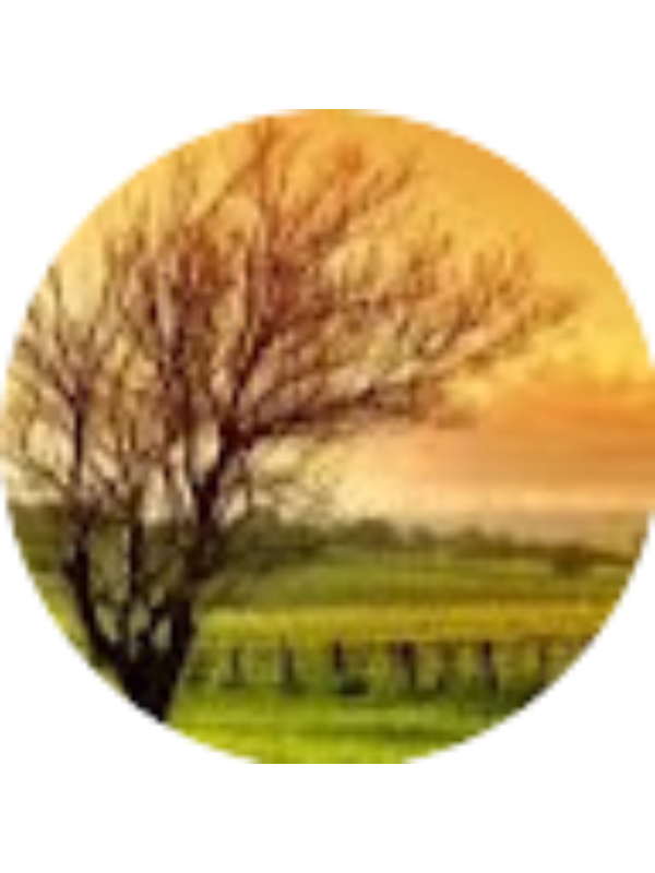 Photo of Abu batool A