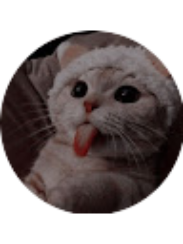 Photo of M&iacute;a Luana V&iacute;lchez Y.