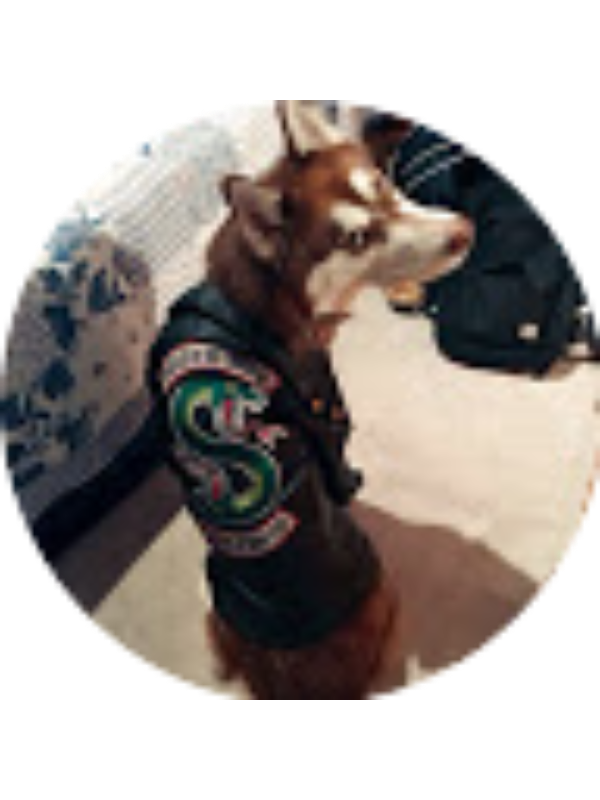 Photo of Sherlock Holmes