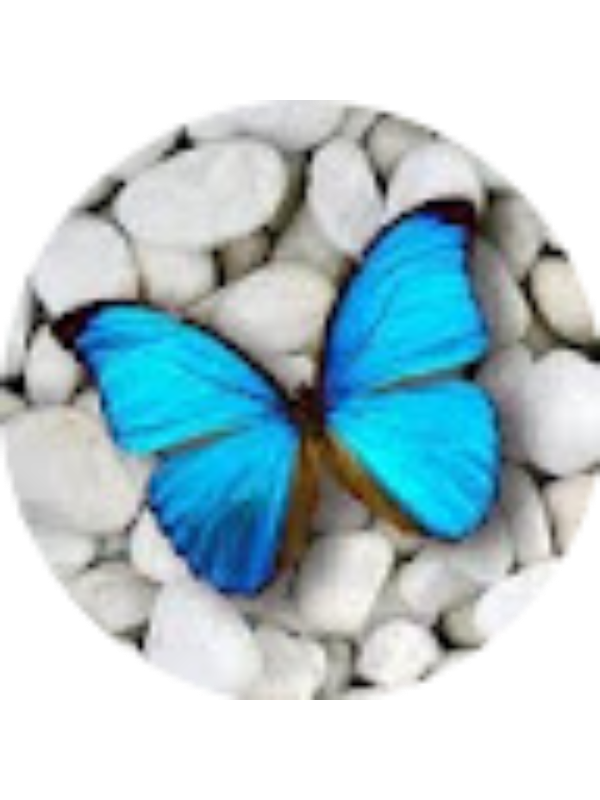 Photo of Emília Ribeiro