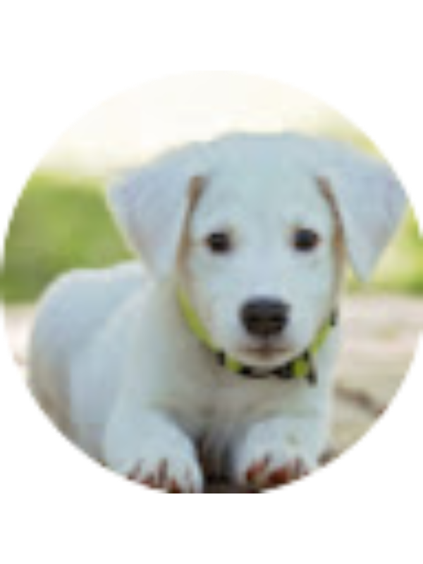 Photo of GIANNA STODDARD