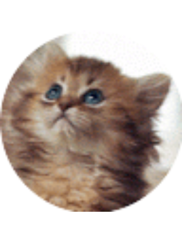 Photo of Caleb Calliari