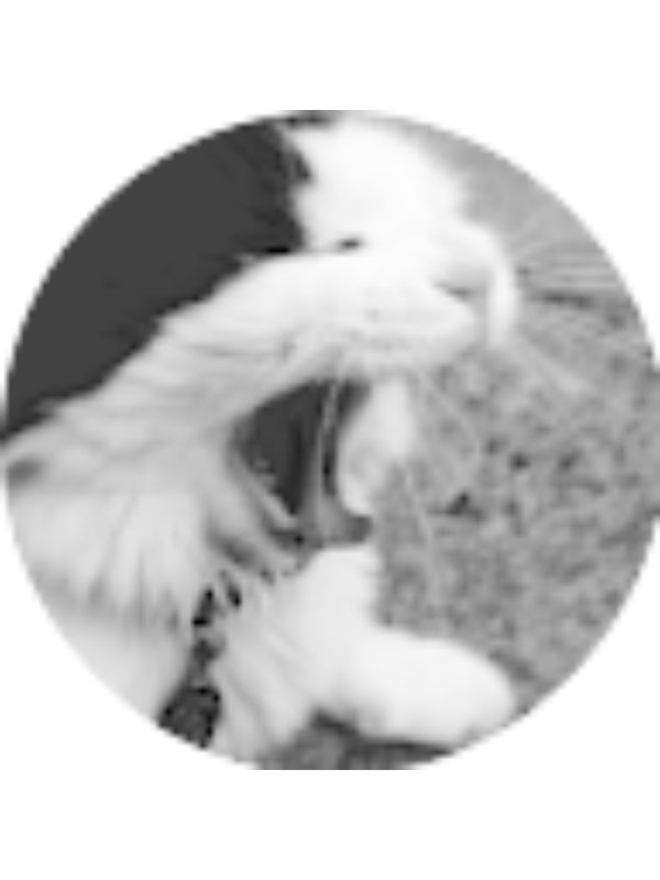 Photo of Callie Thompson