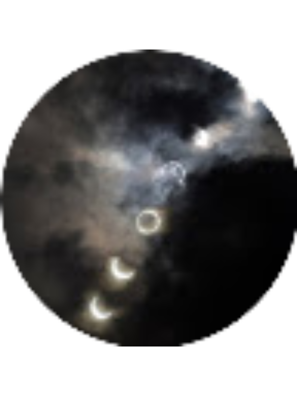 Photo of Marcello Laricchio