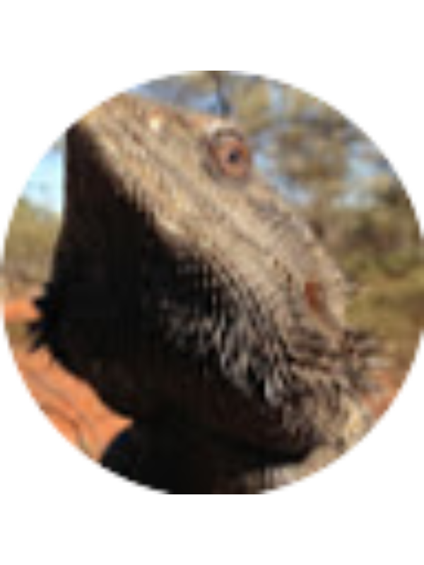 Photo of Alexander Craig