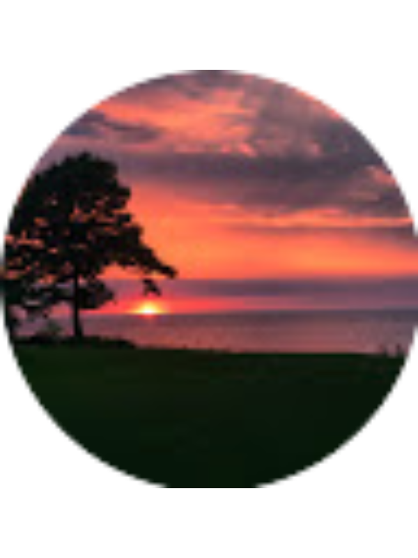 Photo of Audrey Flint