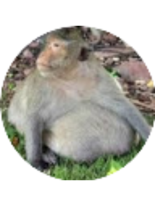 Photo of MATTHEW TWITT