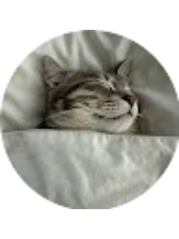 Photo of Nigar Nigulia