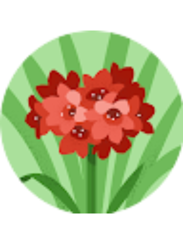 Photo of Antonella CAIULO