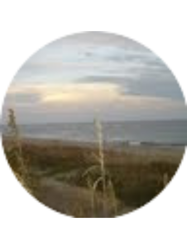 Photo of Nichole Scarboro