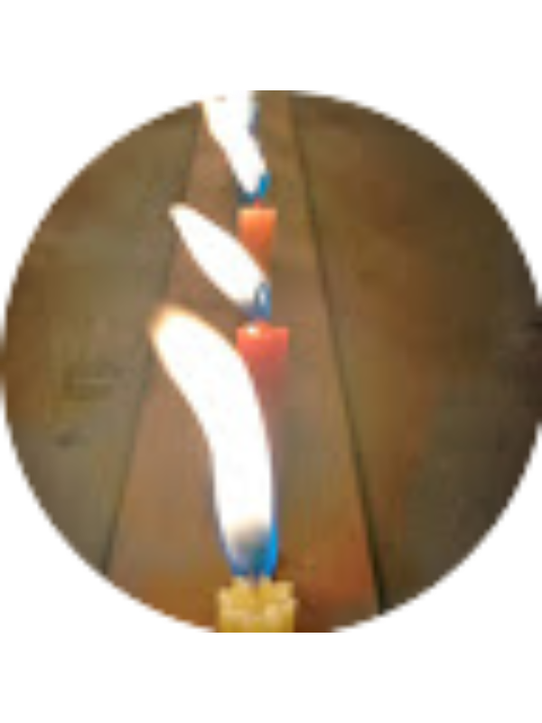 Photo of CatalinaChiquiza .