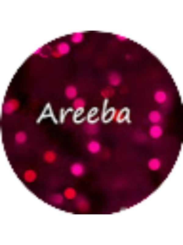 Photo of Areeba Ali