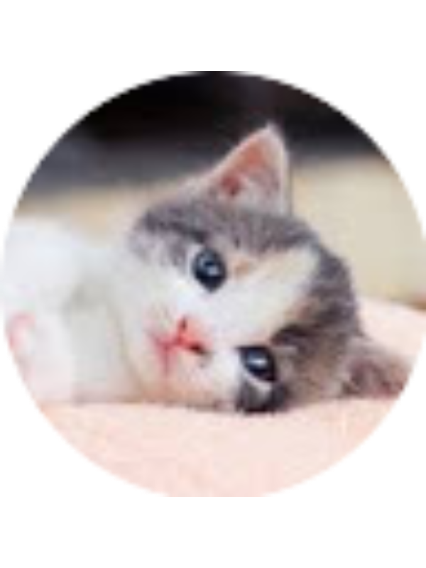 Photo of Abrielle Cerra