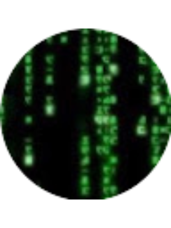 Photo of Caleb Artch